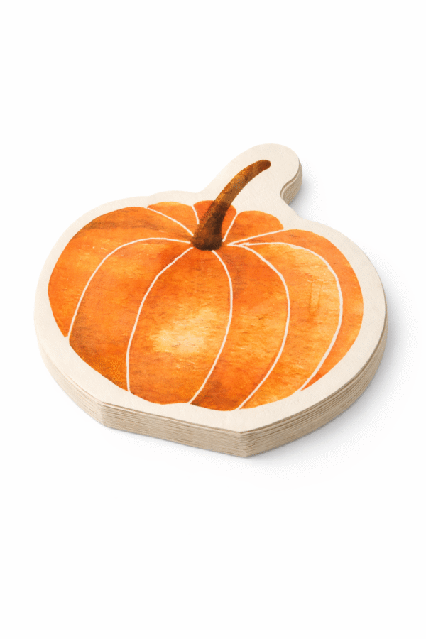 Servetėlės Rudens moliūgas (10 vnt.)