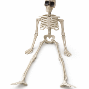 Helovino dekoracija Skeletas