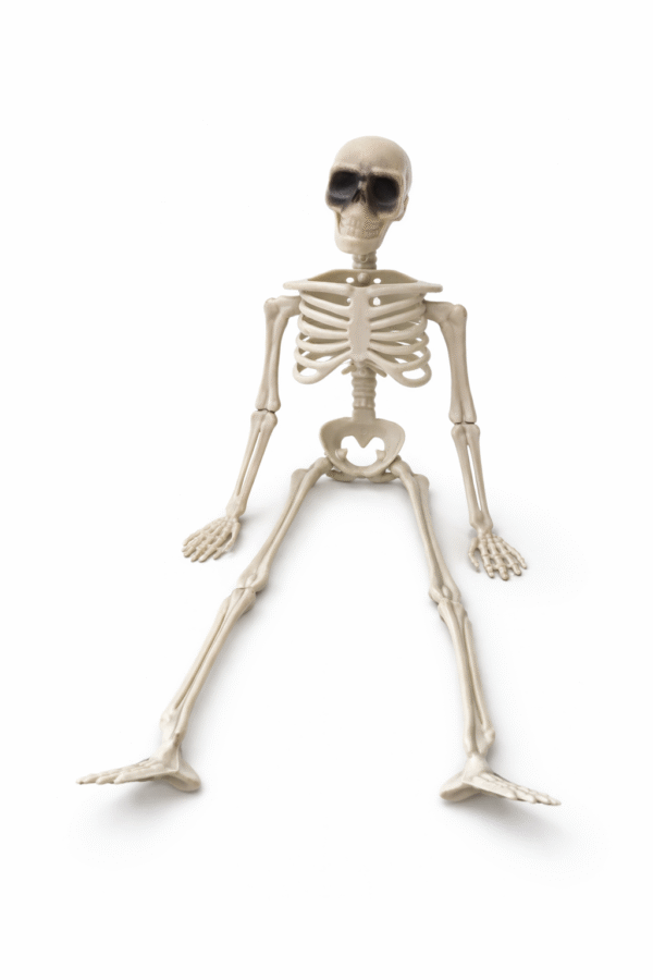 Helovino dekoracija Skeletas