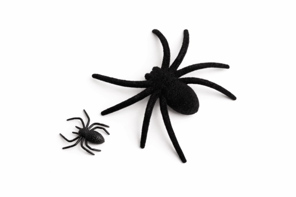 Helovino dekoracija Voras