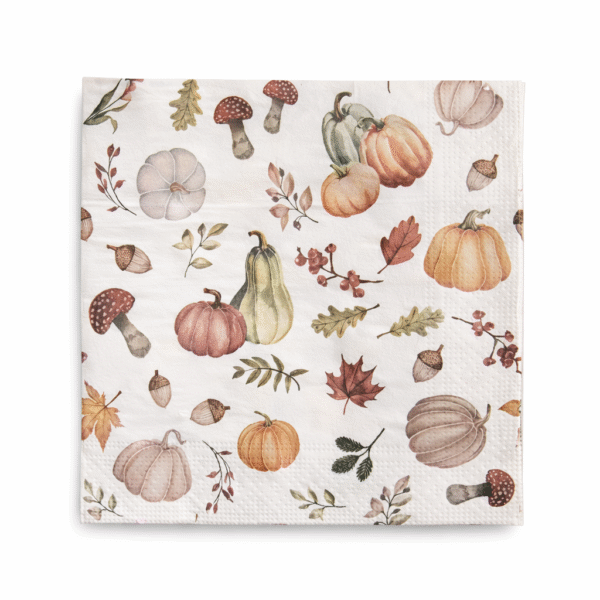 Servetėlės Rudens motyvai (10 vnt.)