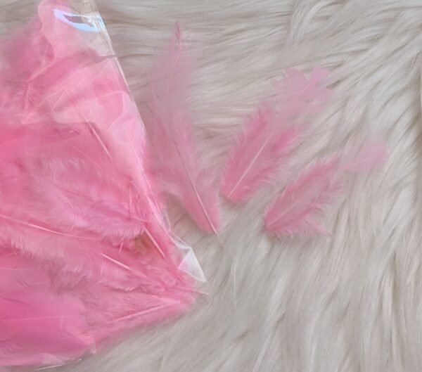 Dekoratyvinės plunksnos