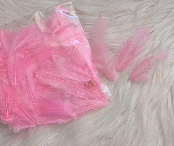 Dekoratyvinės plunksnos