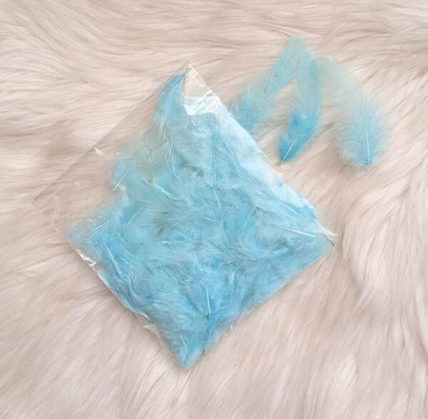 Dekoratyvinės plunksnos