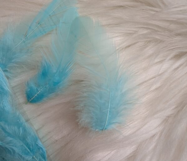 Dekoratyvinės plunksnos