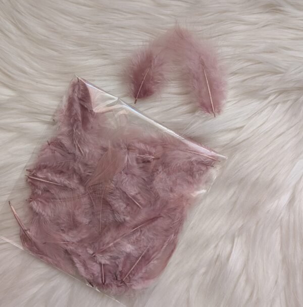 Dekoratyvinės plunksnos