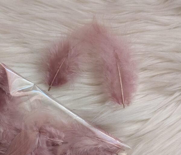 Dekoratyvinės plunksnos