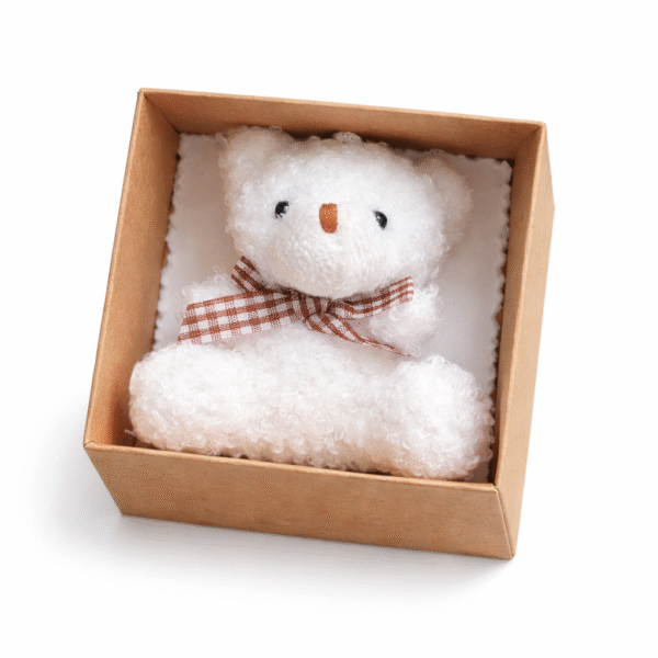 Minkštas pliušinis meškiukas dėžutėje