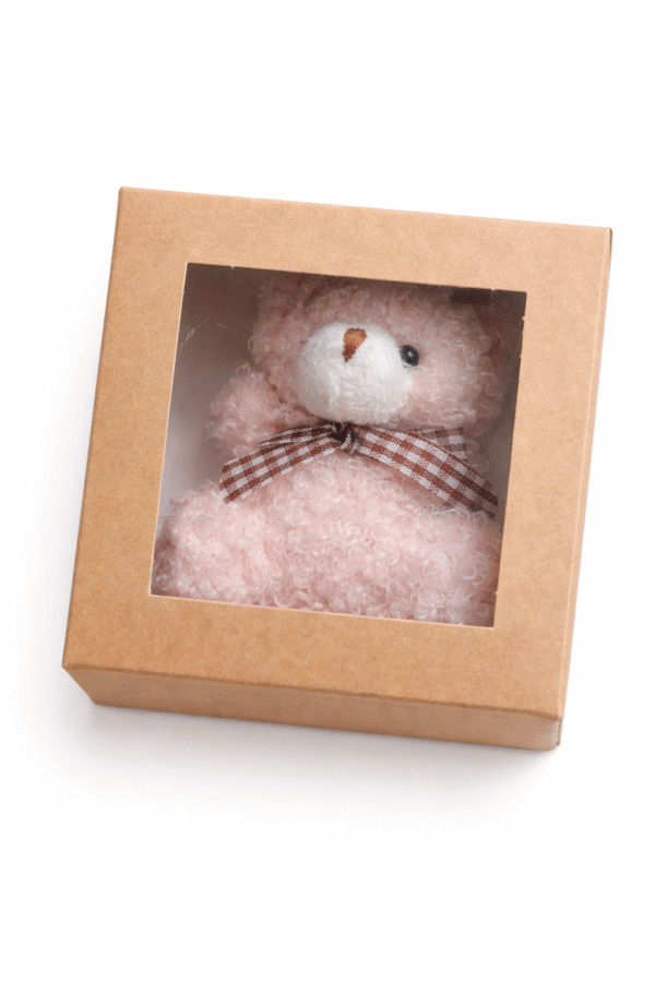 Minkštas pliušinis meškiukas dėžutėje