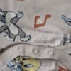 Looney tunes smėlinukas