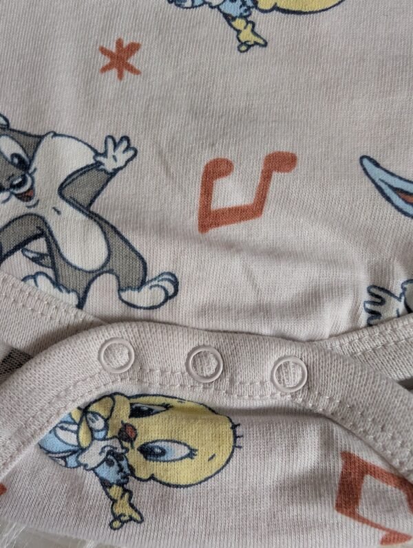 Looney tunes smėlinukas