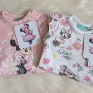 Disney smėlinukas