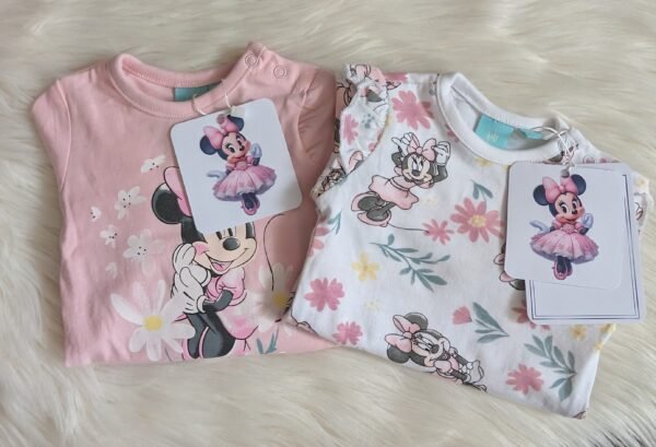 Disney smėlinukas