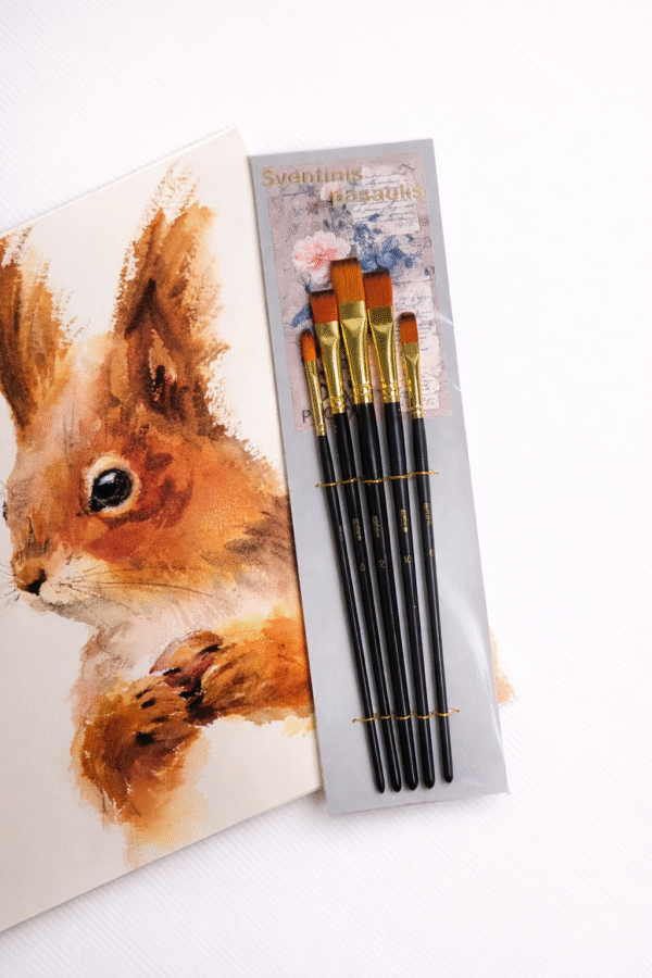 Tapybos teptukų rinkiniai