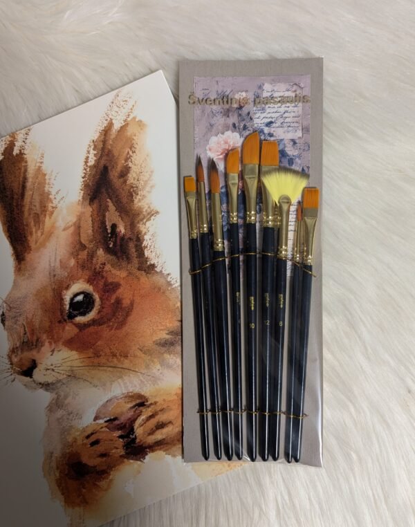 Tapybos teptukų rinkiniai