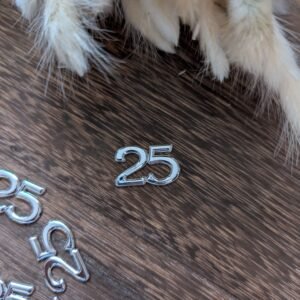 Skaičius „25“ dekoratyvinė detalė