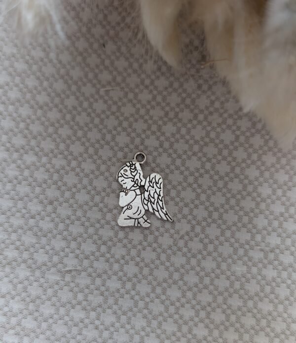 Pakabukas angeliukas